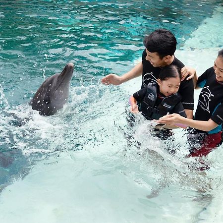 Resorts World Sentosa - Hotel Σιγκαπούρη Εξωτερικό φωτογραφία Dolphin Interaction