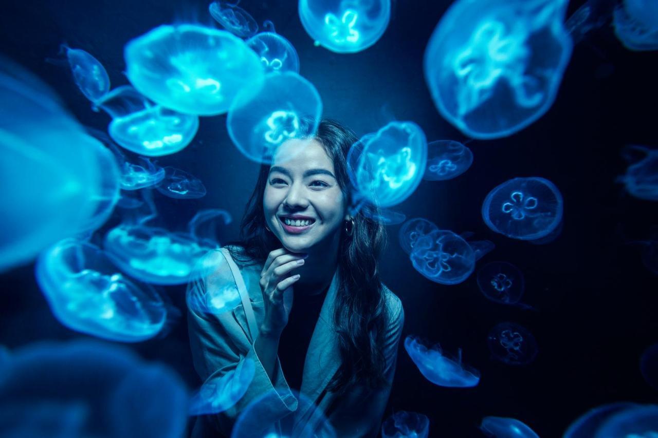 Resorts World Sentosa - Hotel Σιγκαπούρη Εξωτερικό φωτογραφία A visitor at the aquarium