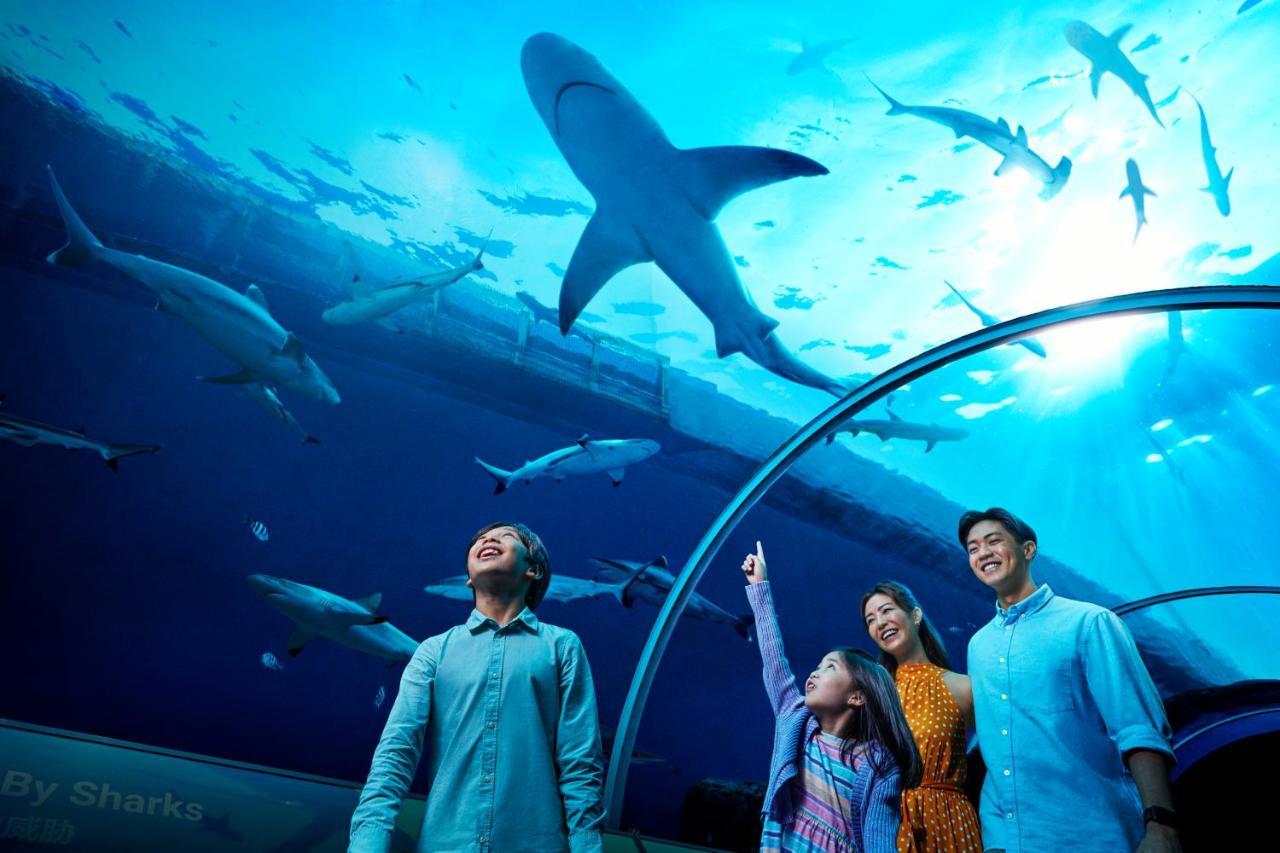Resorts World Sentosa - Hotel Σιγκαπούρη Εξωτερικό φωτογραφία The Lost Chambers Aquarium